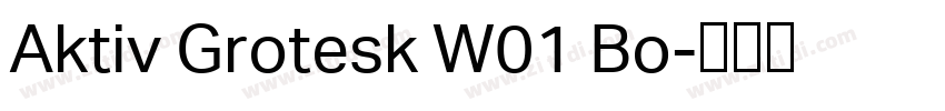 Aktiv Grotesk W01 Bo字体转换
